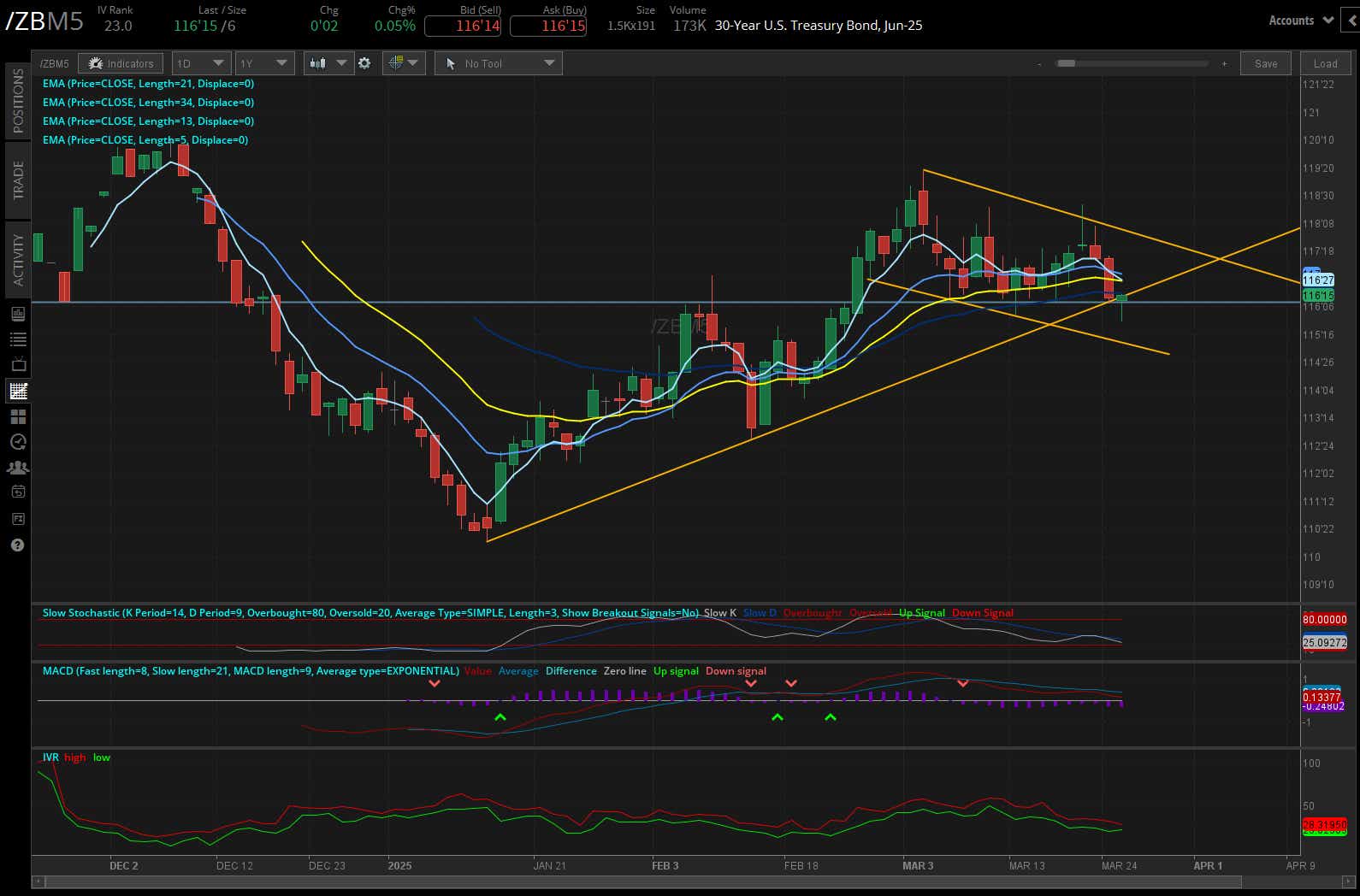 30 year treasury (/ZBM5)
