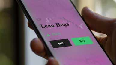 Lean Hog Prices Bounce as Chinese Swine Flu Cases Rise