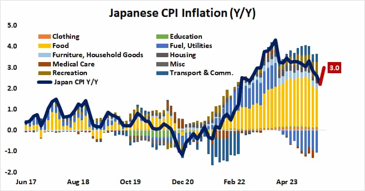 Japanese CPI Inflation (Y/Y)