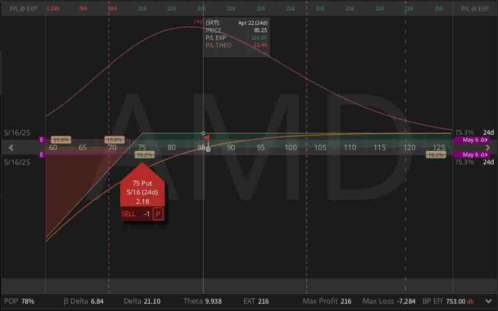 Advanced Micro Devices (AMD)
