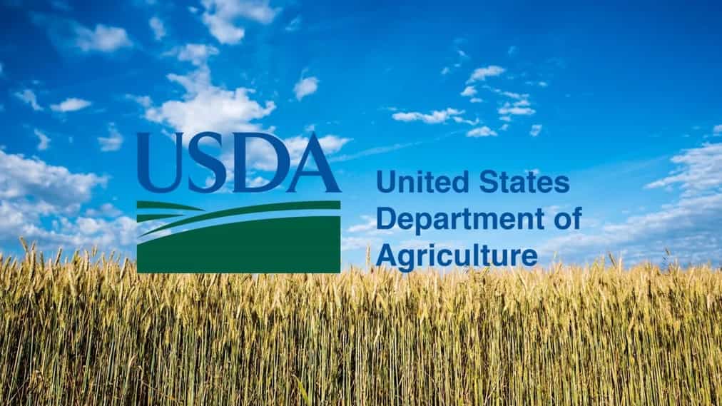 Wasdwe WASDE Report Keeps Pressure on Bulls as Corn and Soybeans Fall | tastylive