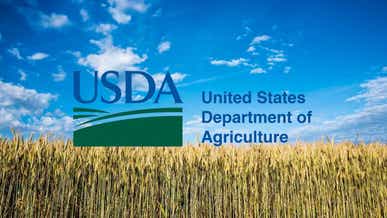 usda agriculture of america