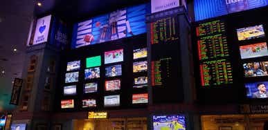 sport betting screens