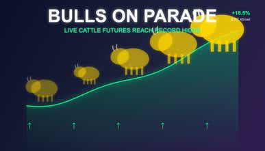 Live cattle