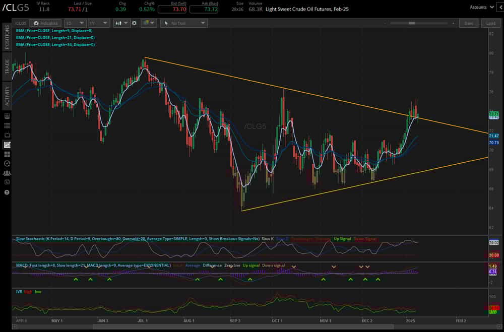 crude oil prices (/CLG5)