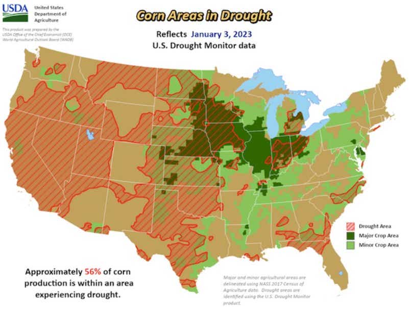 Corn areas in drought