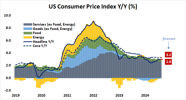US Consumer Price Index Y:Y (%).png