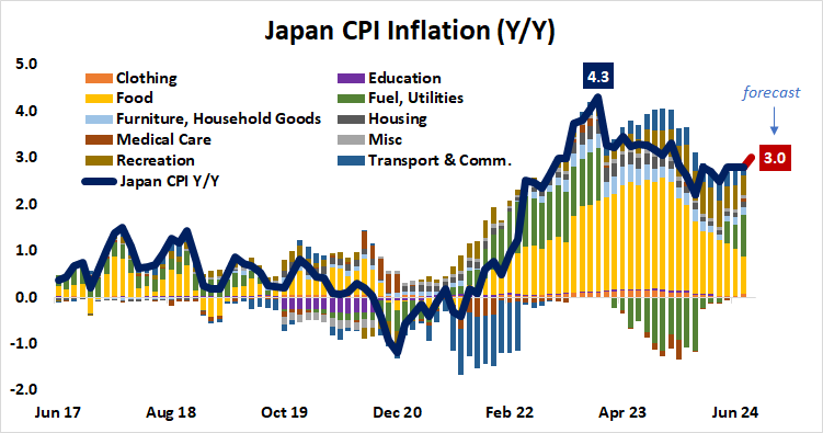 Japan CPI Inflation (Y:Y).png