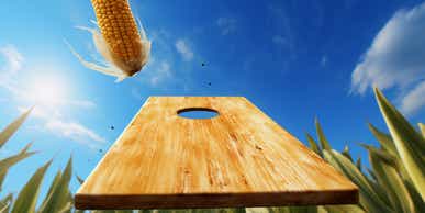 Corn prices moderate after big losses