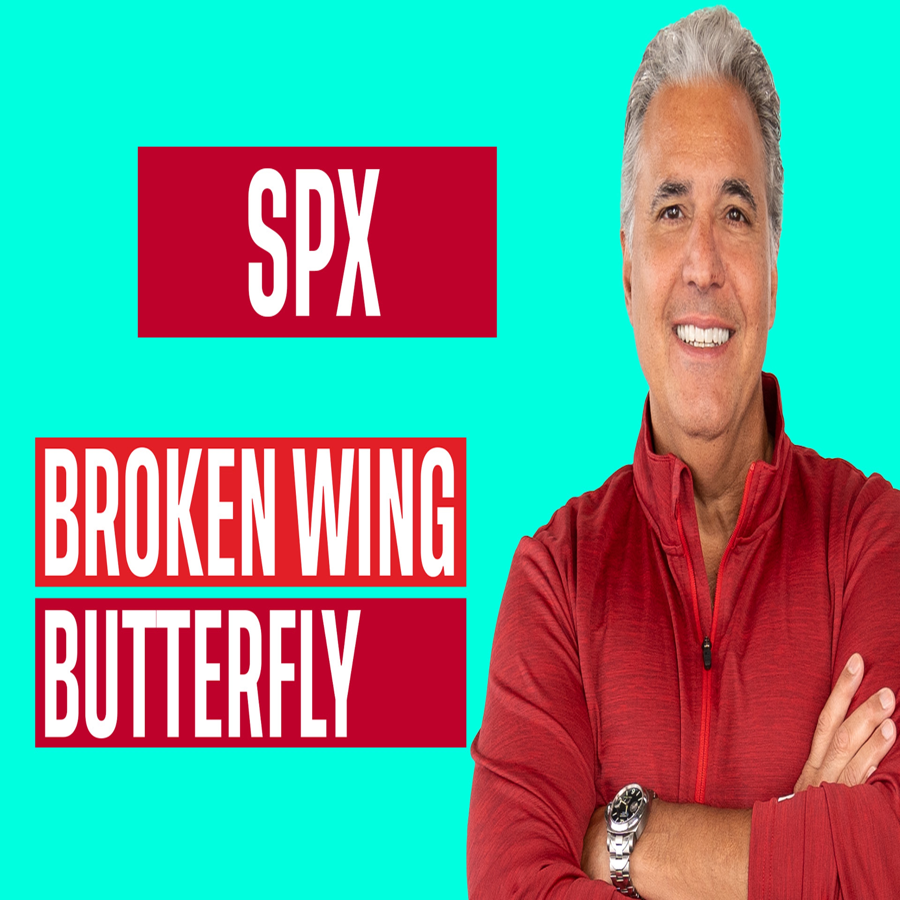 Omnidirectional Broken Winged Butterfly in SPX