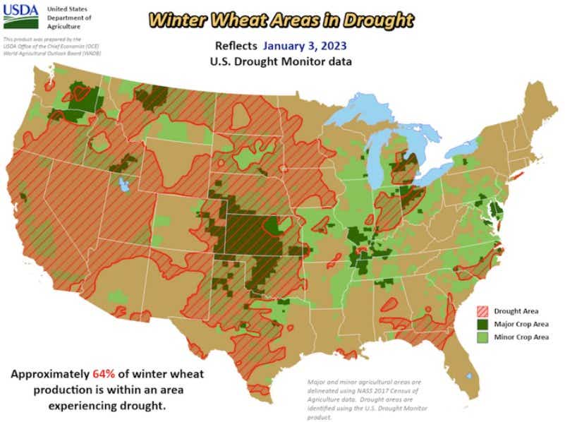 Winter wheat areas in drought