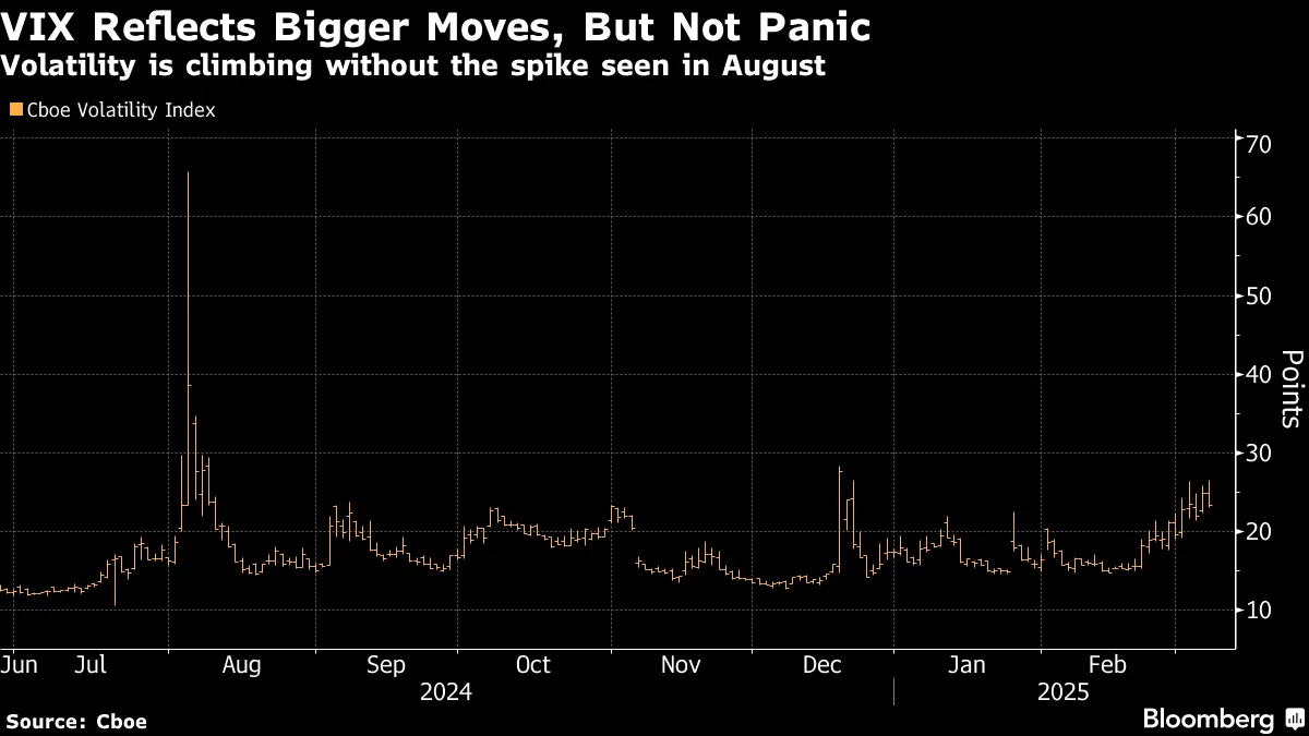 VIX Reflects Bigger Moves, But Not Panic.png