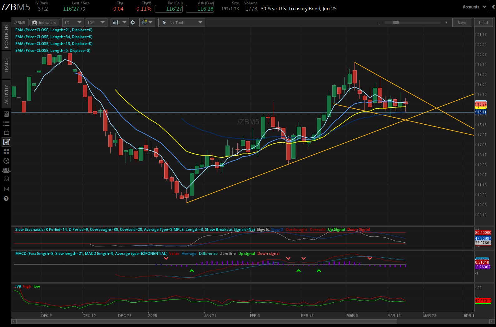 30 Year Treasury (/ZBM5)