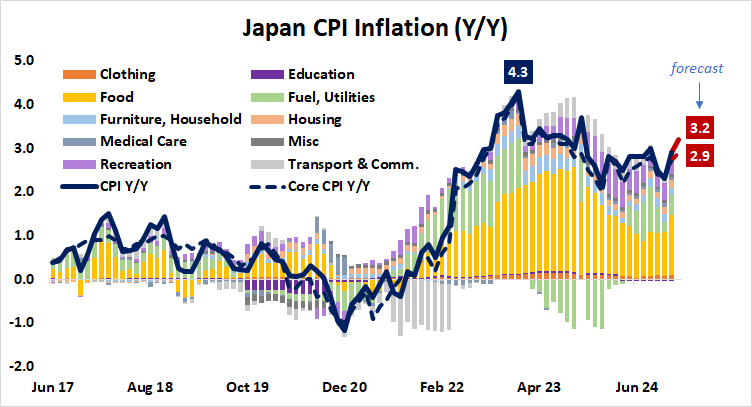 Japan CPI Inflation (Y:Y).png
