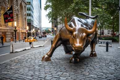 Wall Street Bull
