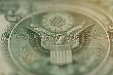 Hawk on one dollar bill close up view