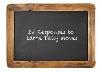 IV responses to large daily moves