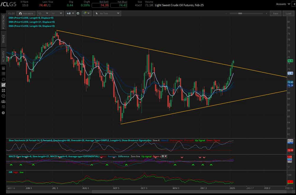 Crude oil futures (/CLG5)