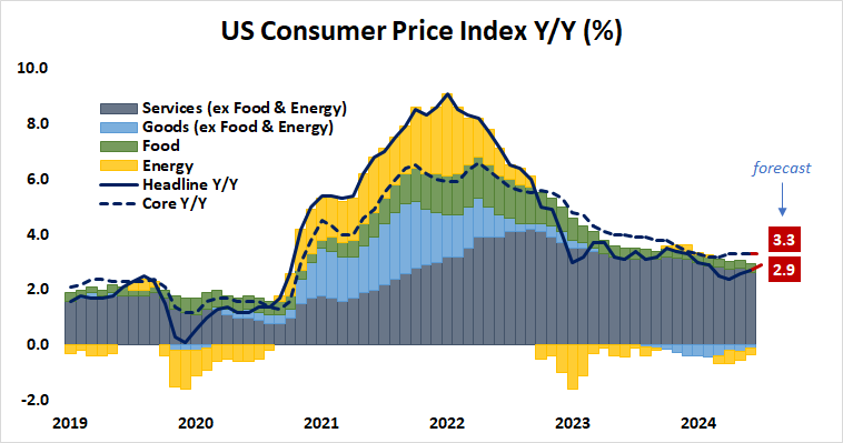 US Consumer Price Index Y:Y (%).png