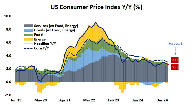 US Consumer Price Index Y:Y (%).png