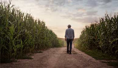 Farmer walking on a path in between two fields of corn