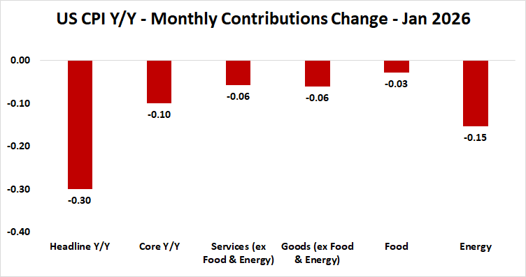 US CPI Y/Y January 2026