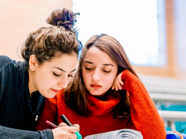 Comprender y transmitir puntos de vista sobre diversos temas.