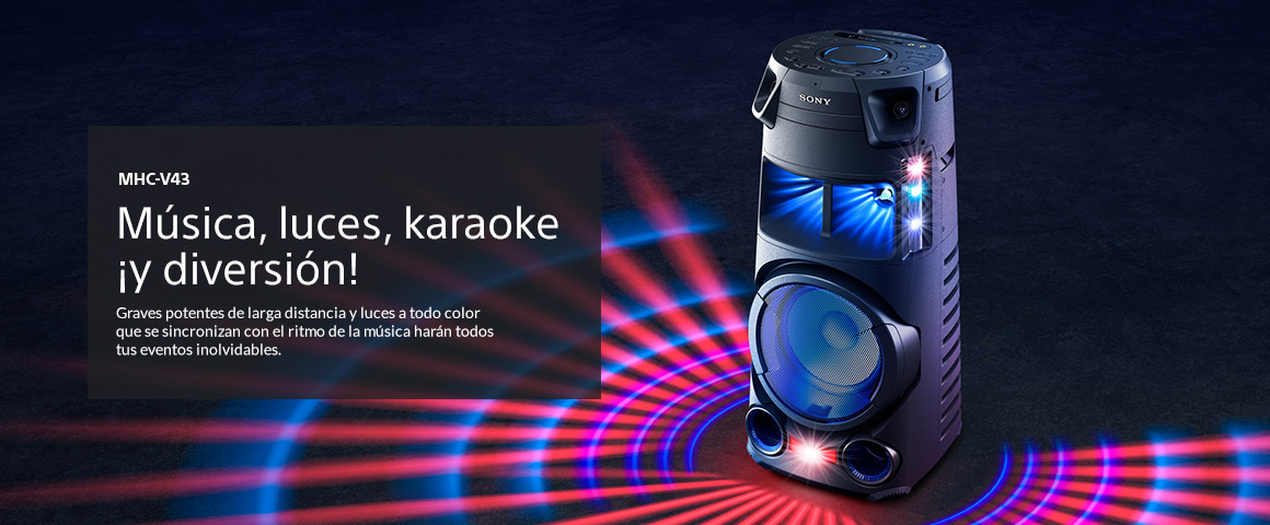 Equipo De Sonido Bluetooth Karaoke Sony MHC-V43D