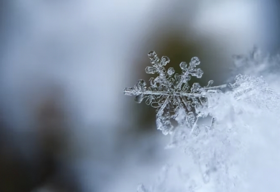 Keys to Fitness in Winter Months