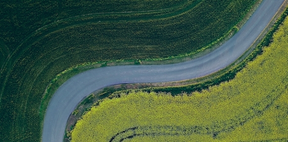 Impact of ESG Strategies on Expected Returns