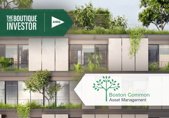 Aligning Active Ownership Strategies in Impact Investing