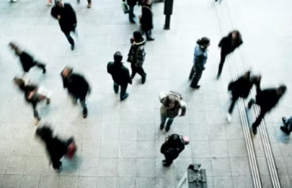 Volatility Forcing Wealthy to Cash Horde