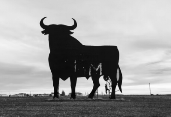 Four Reasons to be Bullish