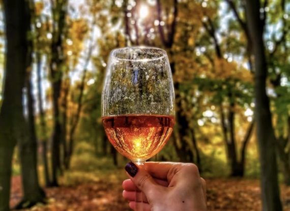 Top Wines to Drink All Fall