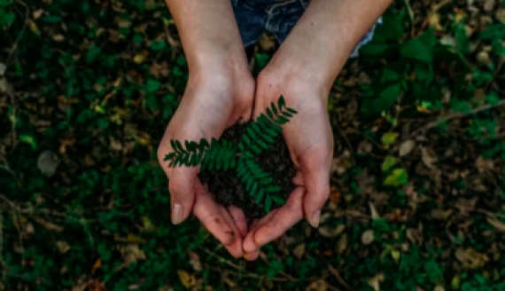 Model Portfolios Allow for More Diversification Than 60/40