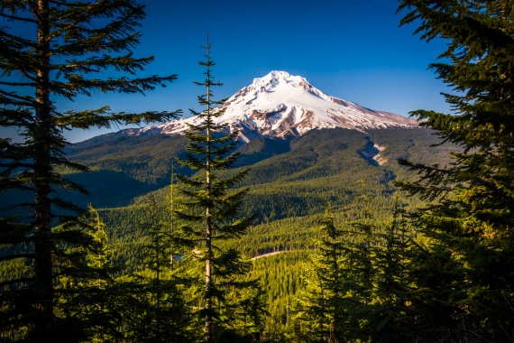 Where ESG Investing is Thriving