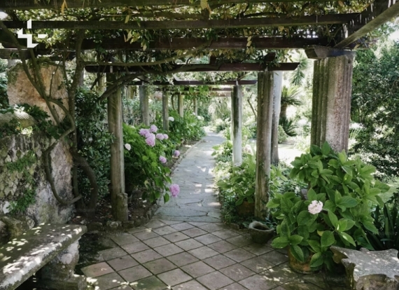 Three Steps to Start Your Gardening Journey