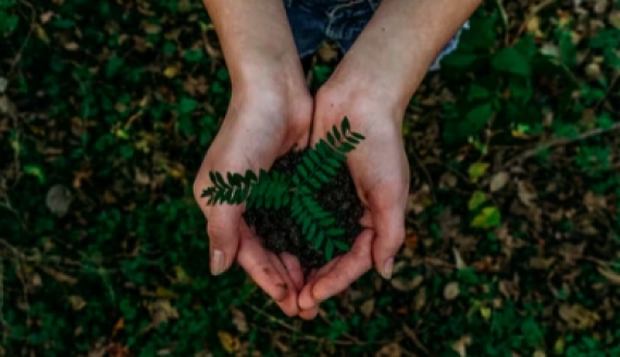 Trends in Family Office Portfolios