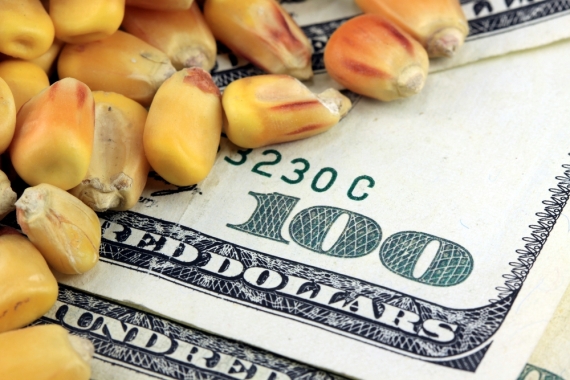 Here is How to Invest in Surging Food Prices