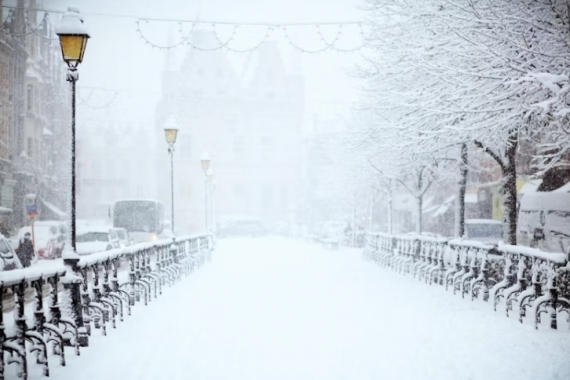 Essential Coats to Survive the Winter