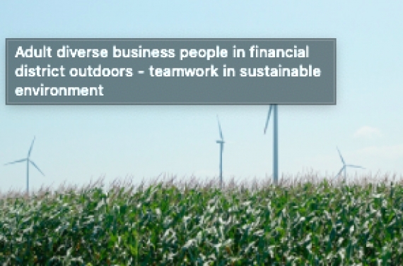 Schwab or Fidelity: Whose Direct Indexing has the ESG Edge?