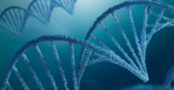 Beyond Products and Pay: Unleashing Your Potential with a Network of Top Advisors