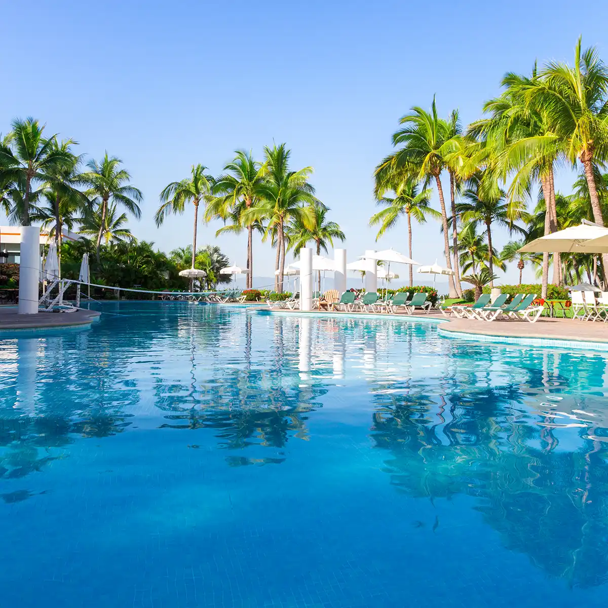 Palms above the pool at Puerto Vallarta