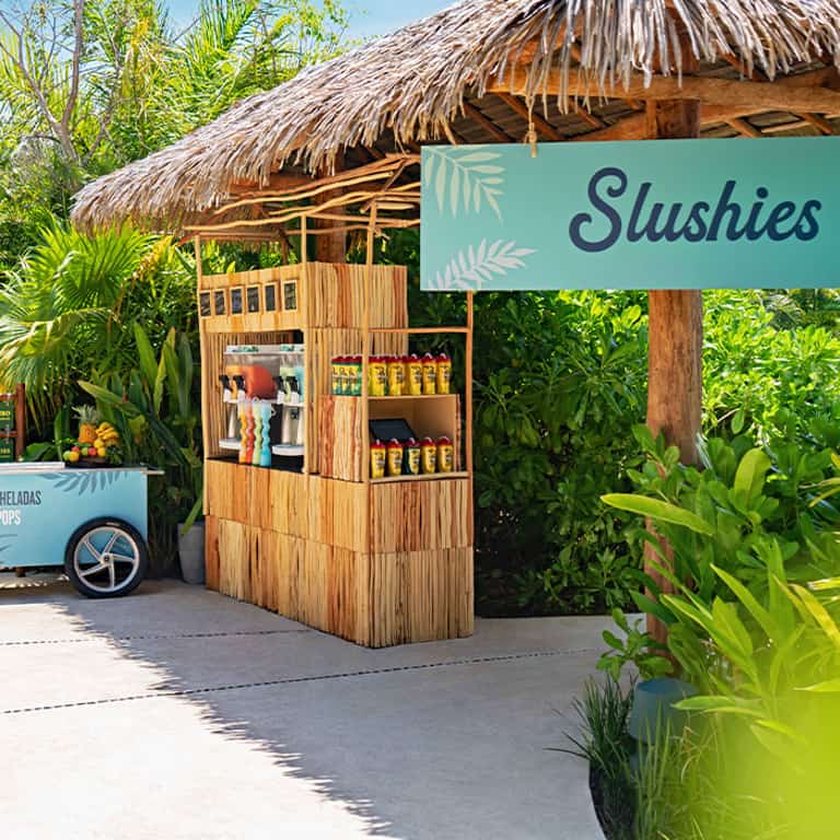 Jungala Slushies rodeado de vegetación tropical