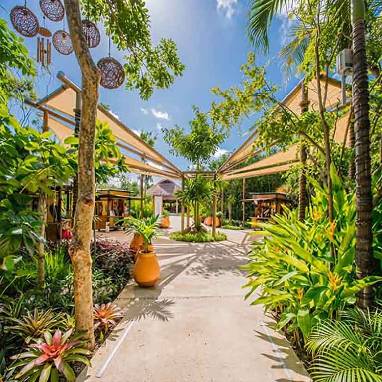 Plaza de tiendas en Jungala Aqua Experience, rodeada de vegetación tropical