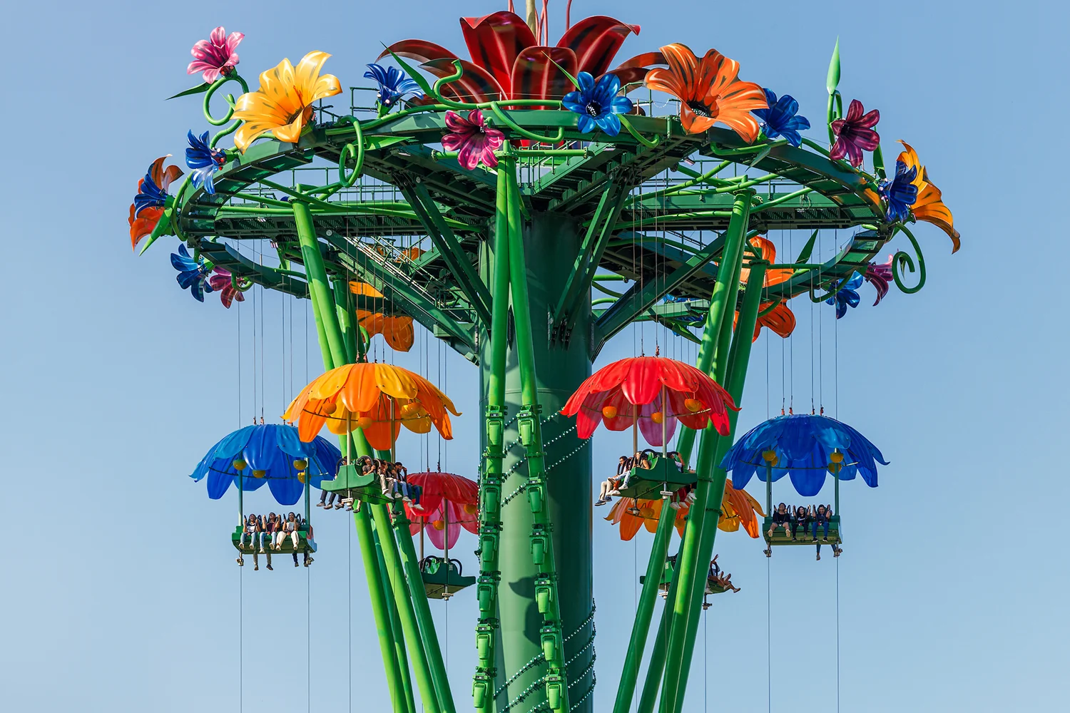 insider-oct-floresta.webp