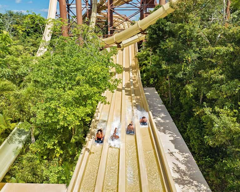 Aerial view of a group riding down Tropical Whizzard at Jungala Aqua Experience