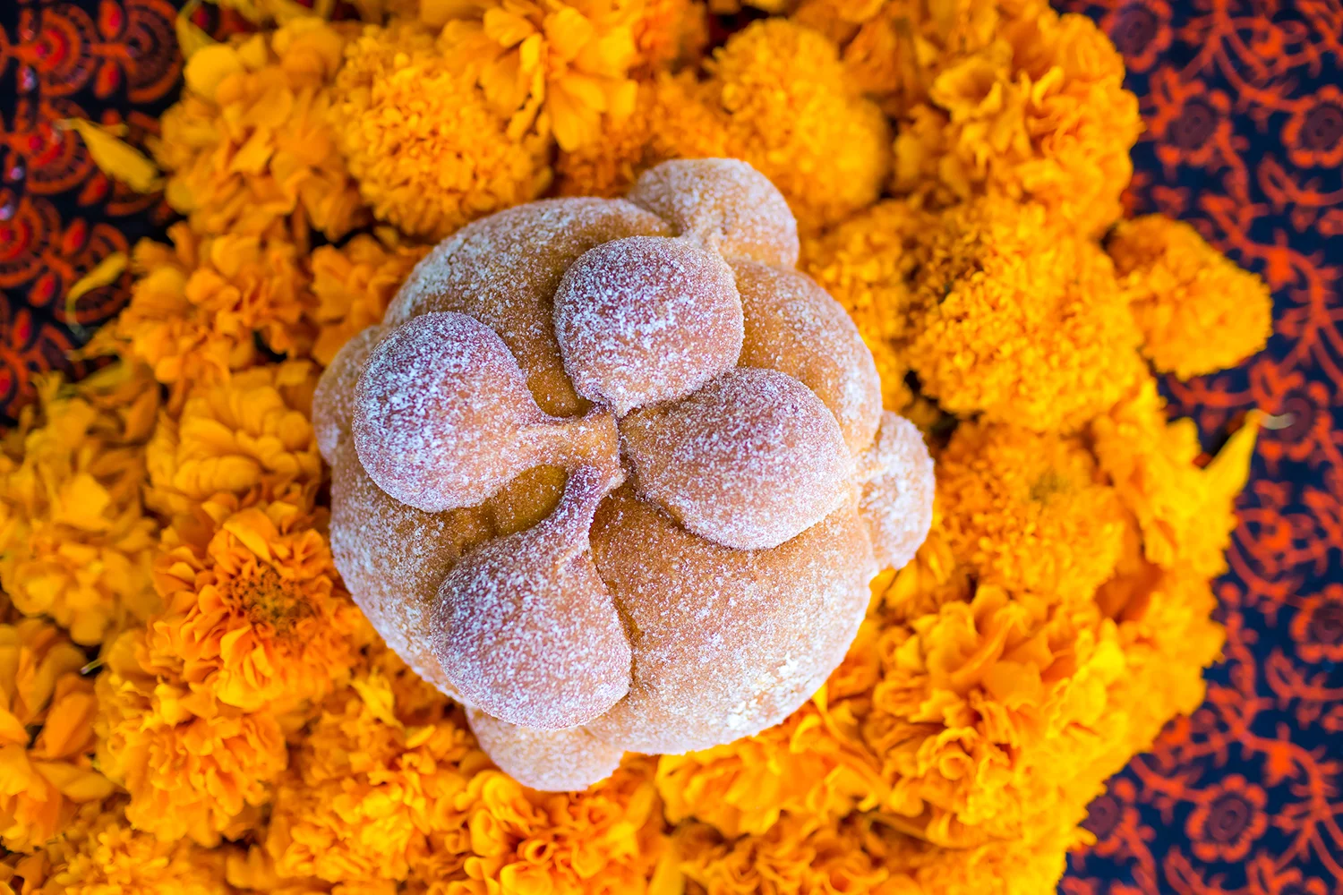 Pan de muerto on a bed of cempasúchil