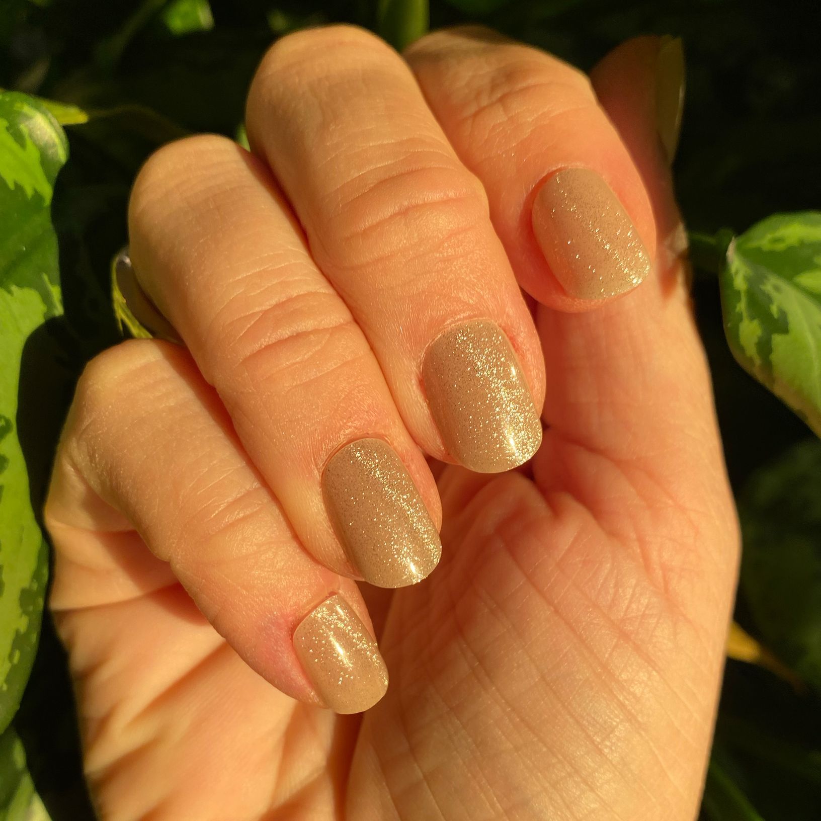 Salon Effects Perfect Press-On Nails - LOST IN THE FROST - 99350230867 - 4 - Image 4 of 10