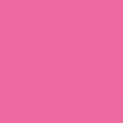 Pink-terest by Sally Hansen nail polish